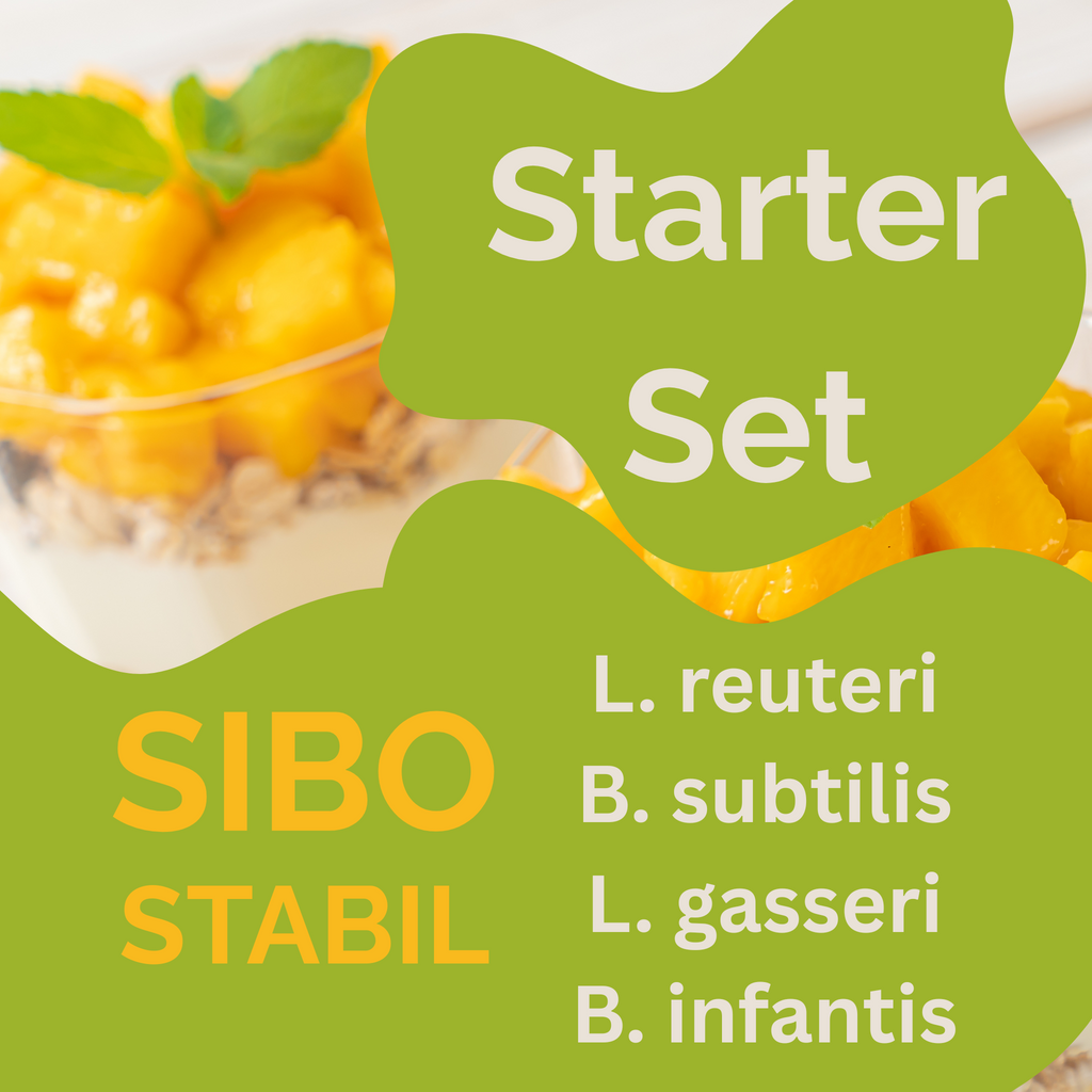 Стартовый набор „SIBO Stabil" | L. reuteri, B. subtilis, L. gasseri, B. infantis-йогурт